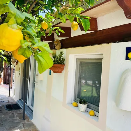 Casita Limon Holiday home Andratx
