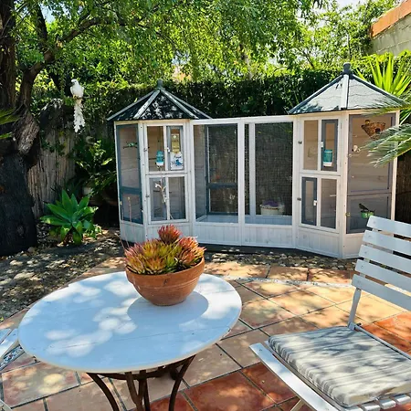 Casita Limon Andraitx
