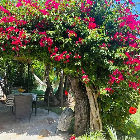 Casita Limon Holiday home *